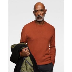 Zara Men's Crewneck Sweater in Rust Orange